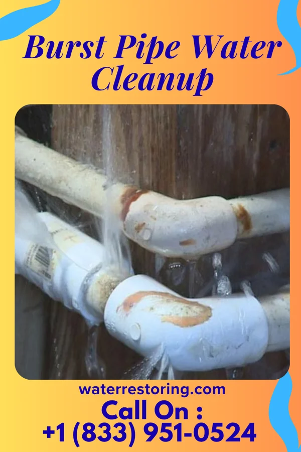 Burst Pipe Water Cleanup in Cleveland, OH