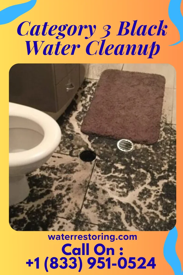 Category 3 Black Water Cleanup in Cleveland, OH